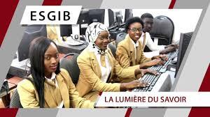 ESGIB / École Supérieure de Génie Industriel et Biologique